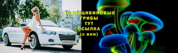 шишки Абаза