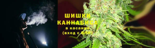 шишки Абаза
