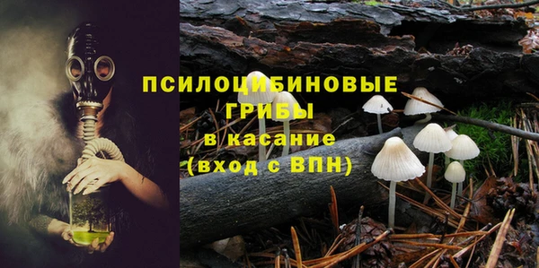 МДПВ Абинск