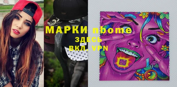 шишки Абаза