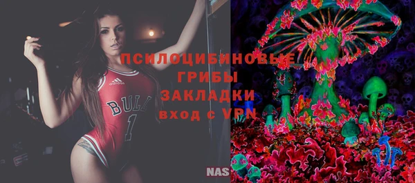 шишки Абаза